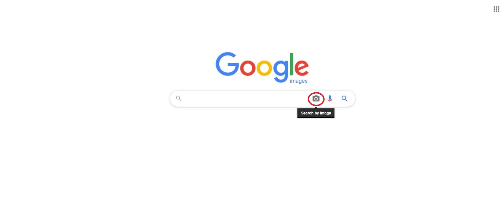 camera in the search bar